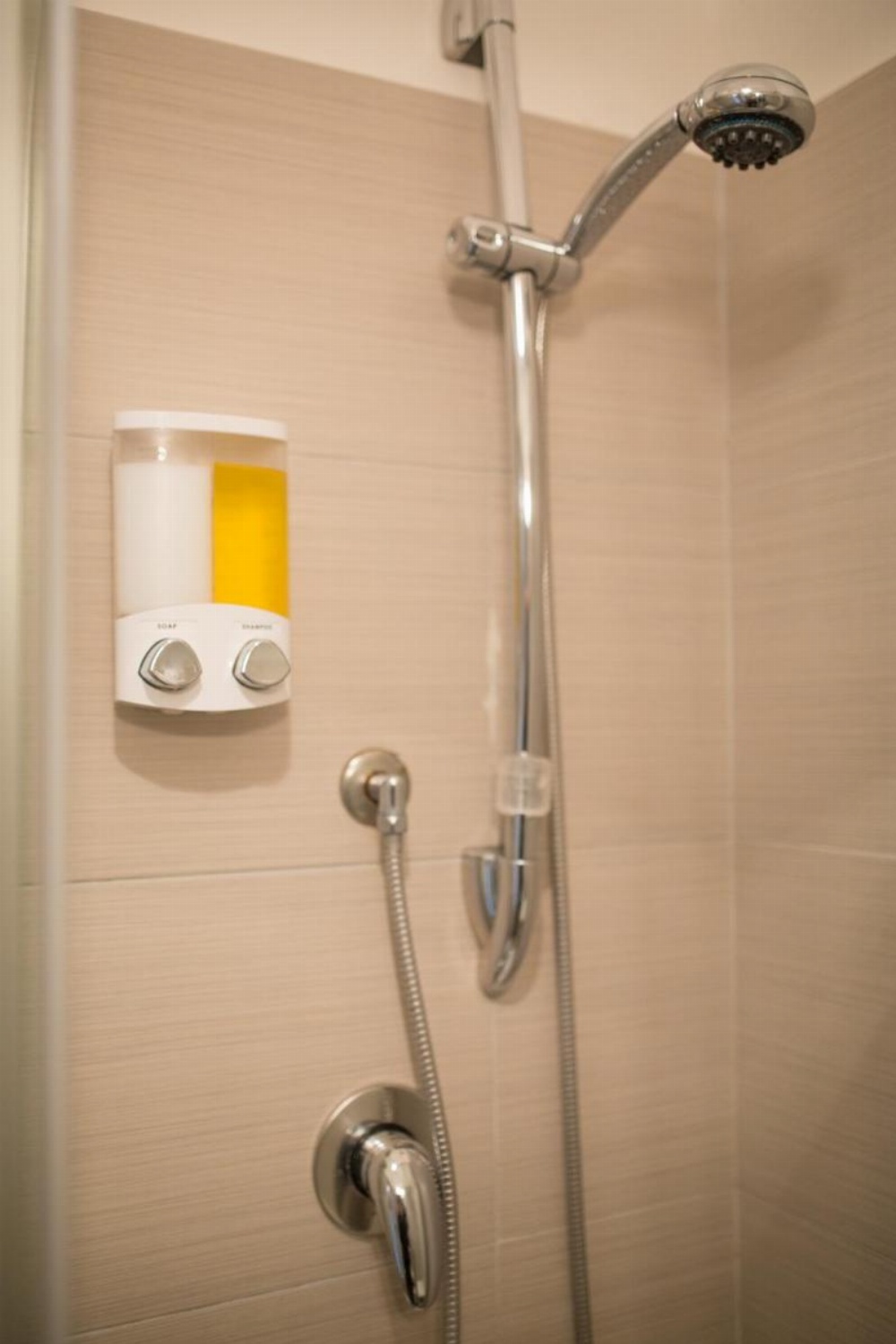 Federico II by Dimorra